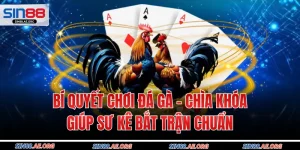 Bí Quyết Chơi Đá Gà - Chìa Khóa Giúp Sư Kê Bắt Trận Chuẩn