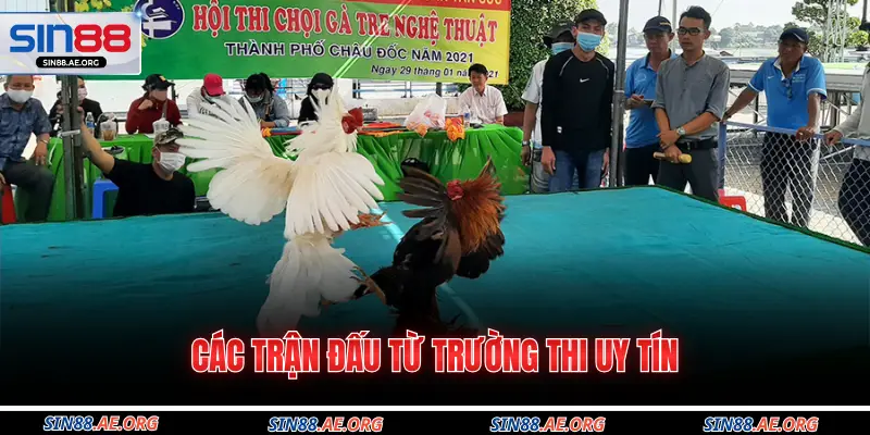 Các trận đấu từ trường thi uy tín