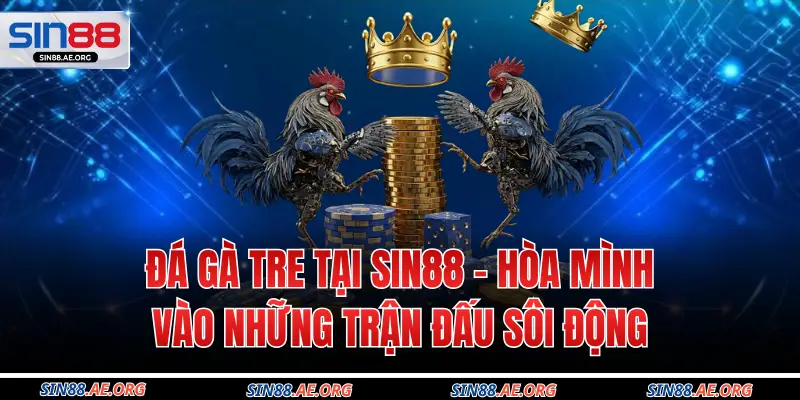 Đá Gà Tre Tại Sin88 - Hòa Mình Vào Những Trận Đấu Sôi Động