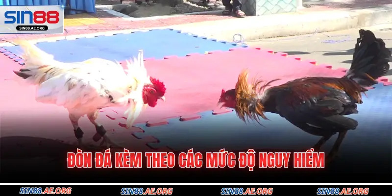 Đòn đá kèm theo các mức độ nguy hiểm