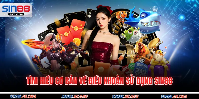 Tìm hiểu cơ bản về điều khoản sử dụng Sin88
